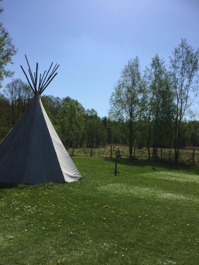 Bergertours Pension Райнсберг Екстериор снимка